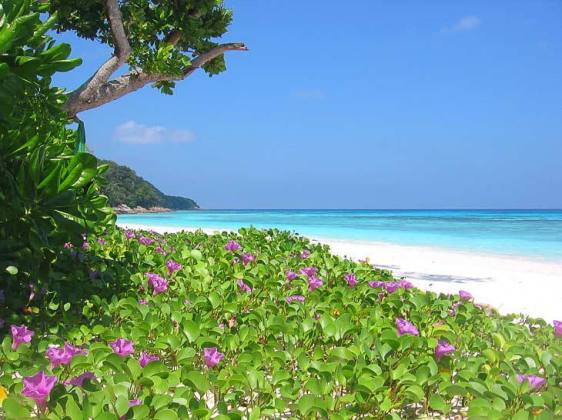 Koh_Tachai_Island_Beach-Andaman_Sea-Thailand